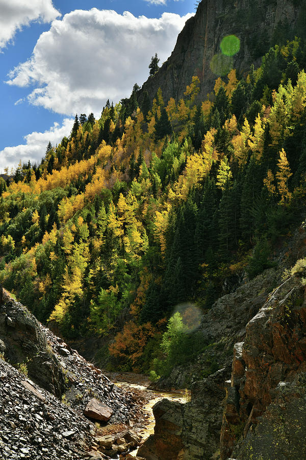 Ouray Canyon #1 Photograph by Ray Mathis