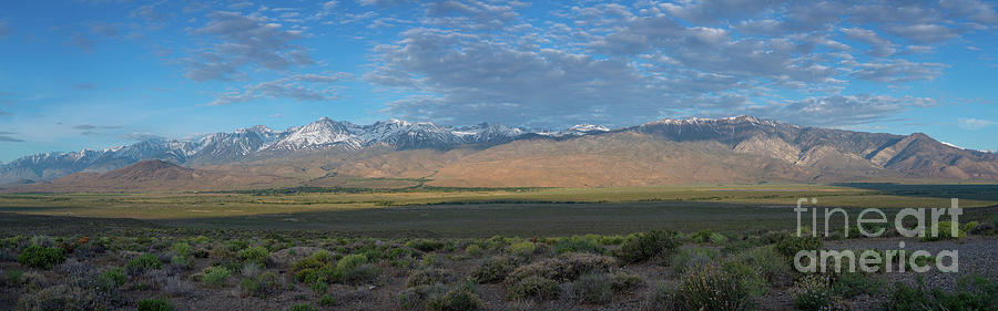 Owens Valley Panorama  #1 Photograph by Michael Ver Sprill