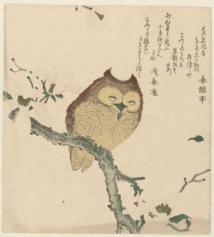 Owl On A Magnolia Branch, Kubota Shunman, C. 1890 - C. 1900 Painting