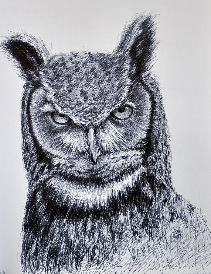 Owly Drawing by Rick Hansen