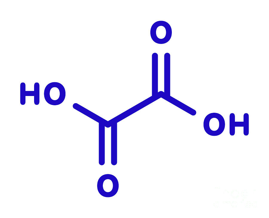 Acid Photograph - Oxalic Acid Molecule #1 by Molekuul/science Photo Library