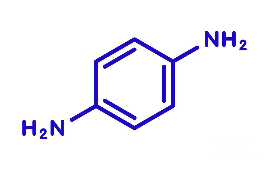 P-phenylenediamine Hair Dye Molecule #1 Photograph by Molekuul/science Photo Library