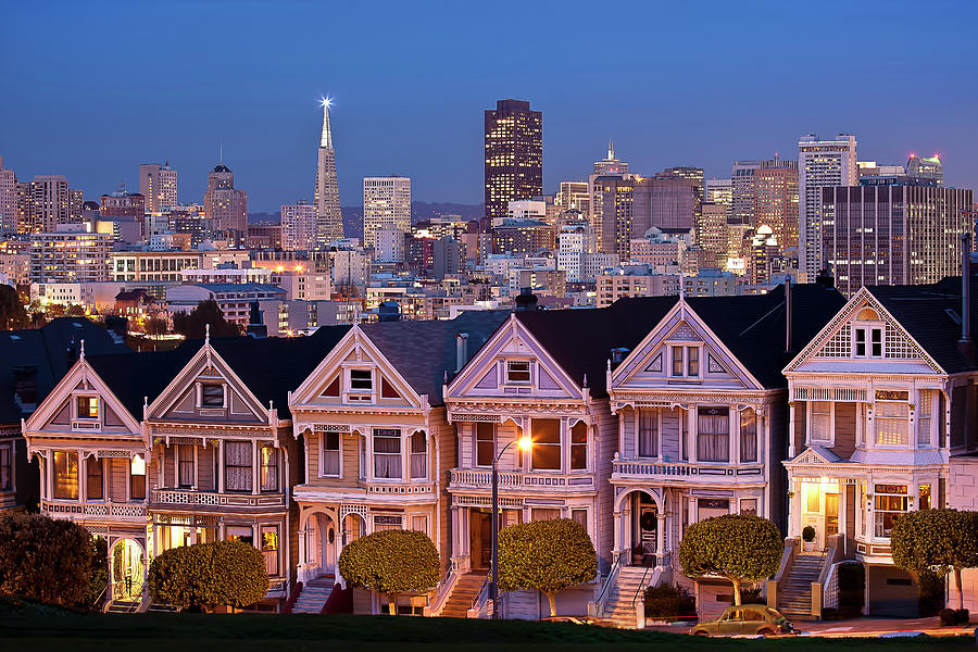 Painted Ladies #1 Photograph by Photo By Mike Shaw