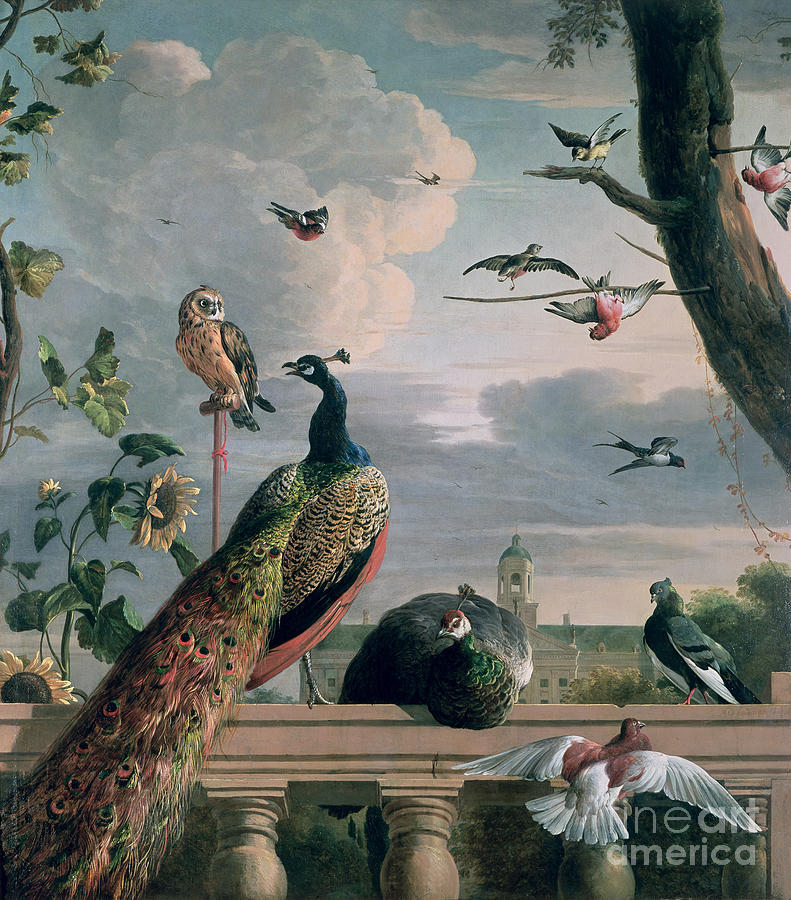 Palace Of Amsterdam With Exotic Birds Painting by Melchior De Hondecoeter
