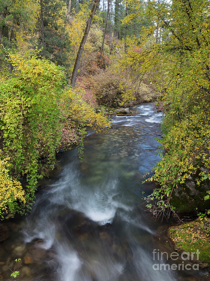 Palisades Creek #1 Photograph by Idaho Scenic Images Linda Lantzy