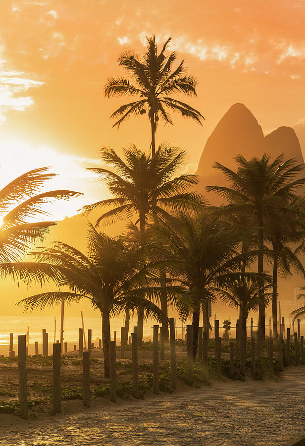 Palm Trees At Sunset On Ipanema Beach Rio De Janeiro Brazil Digital Art By Lost Horizon Images