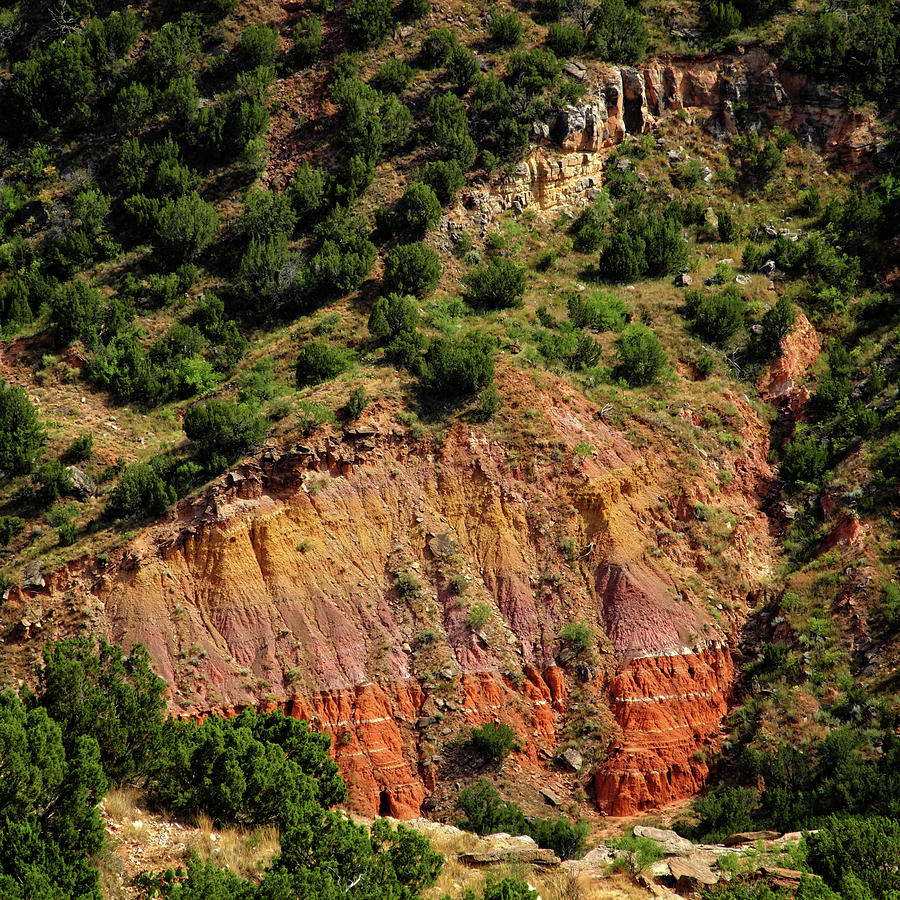 Palo Duro Canyon #1 Photograph by George Taylor