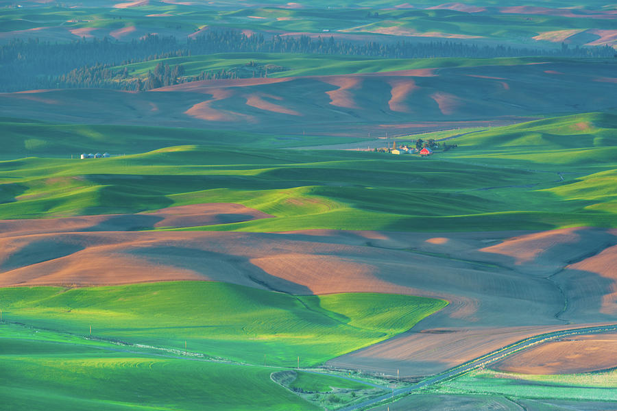 Palouse Rolling Wheat Fields #2 Digital Art by Michael Lee