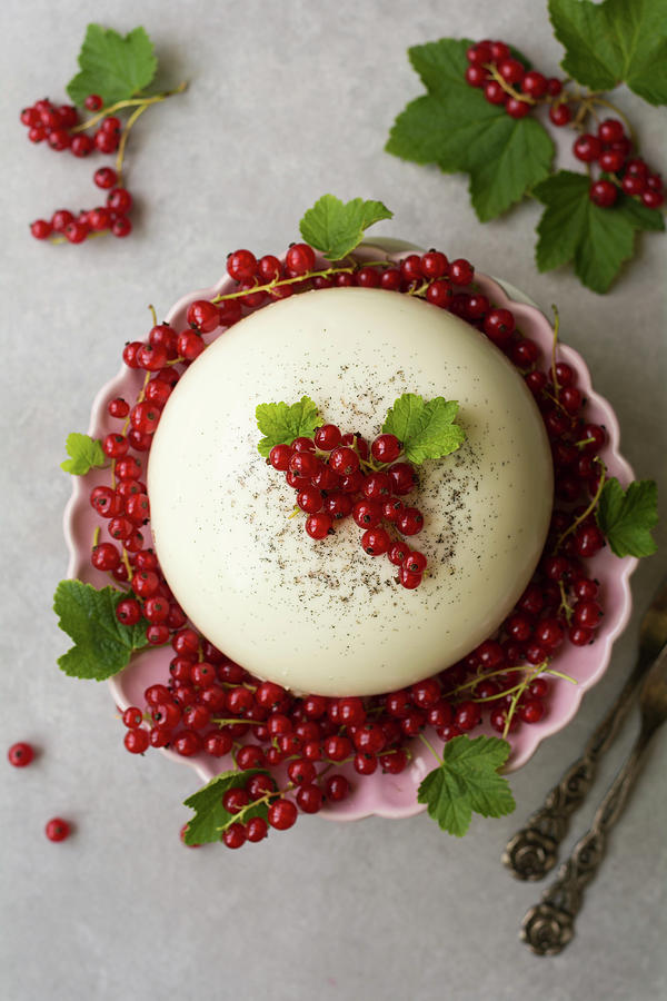 Panna Cotta Dome Cake With Redcurrants #1 Photograph by Joanna Lewicka