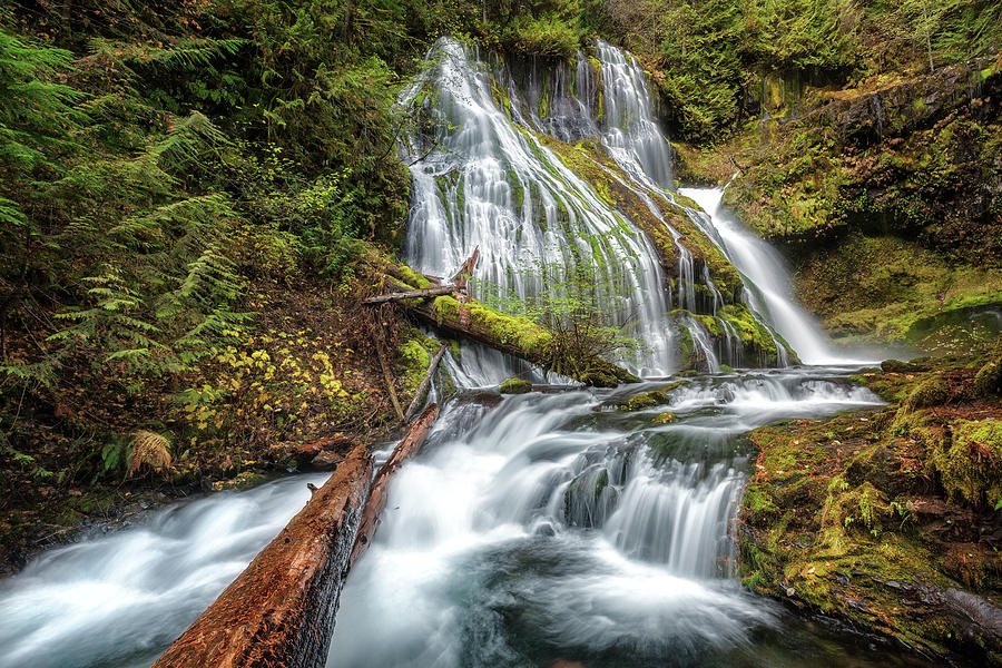 Panther Creek Falls  #1 Photograph by Alex Mironyuk
