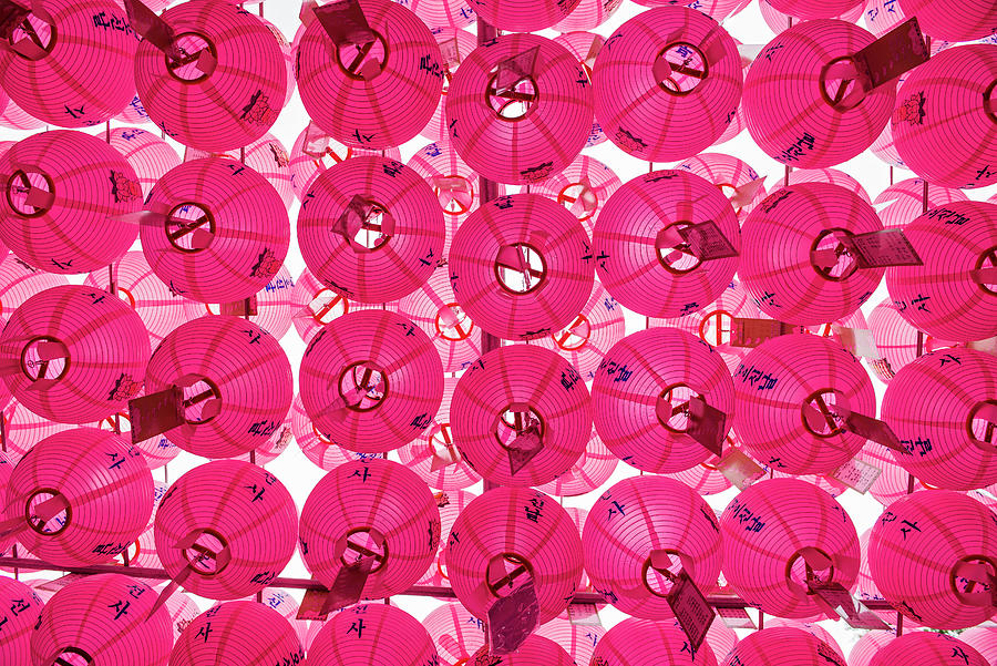 Buddha Photograph - Paper Lanterns At Bukhansan Temple In Seoul #1 by Cavan Images