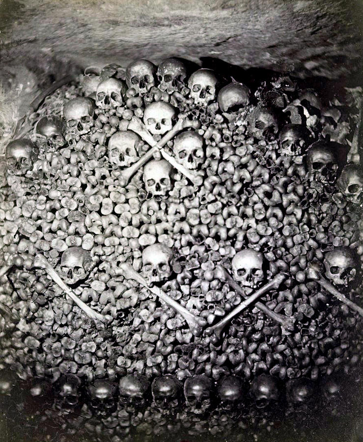 Paris Catacombs, 1861 #1 Photograph by Science Source
