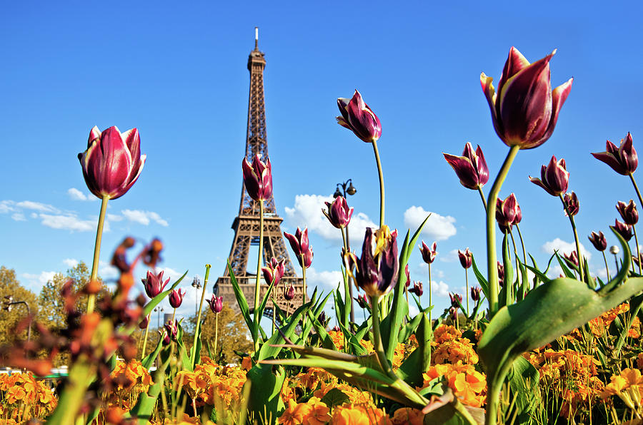 Paris In Spring #1 Photograph by Nikada