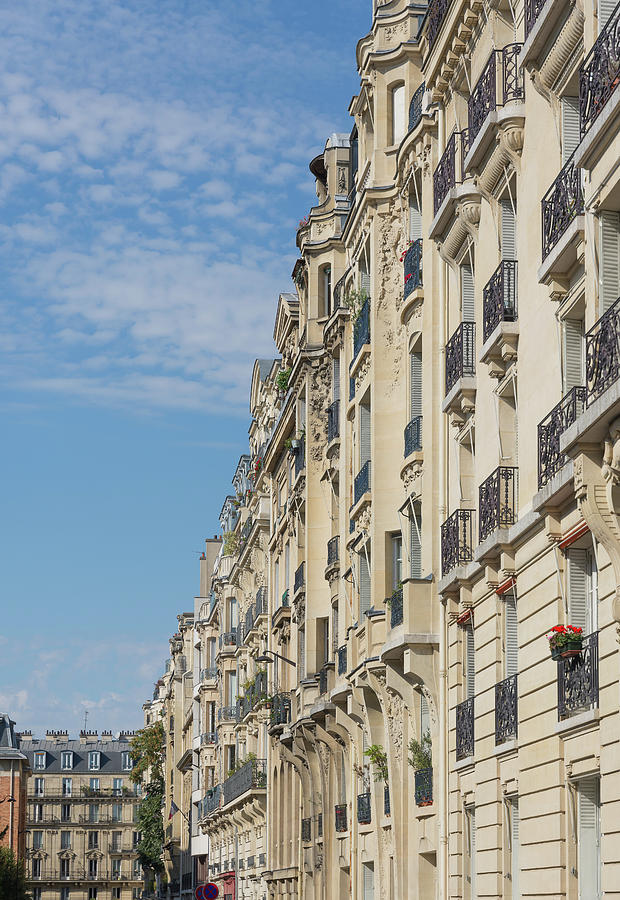 Parisian Buildings Photograph by Liz Albro