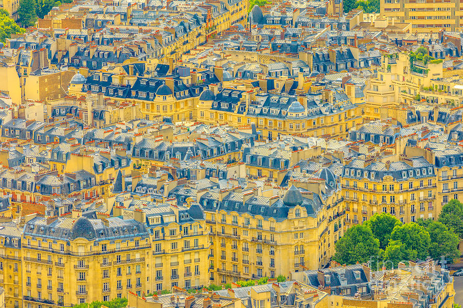 Parisian roofs skyline #1 Photograph by Benny Marty