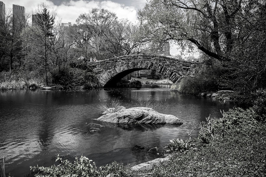 Park Bridge #1 Photograph by Stuart Manning
