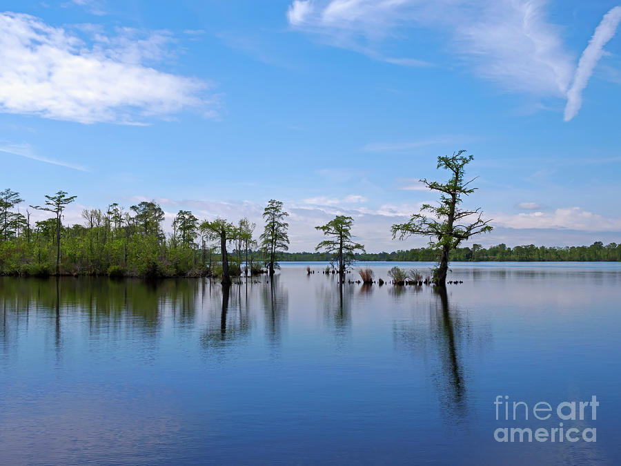 Pasquotank River North Carolina #1 Photograph by Louise Heusinkveld