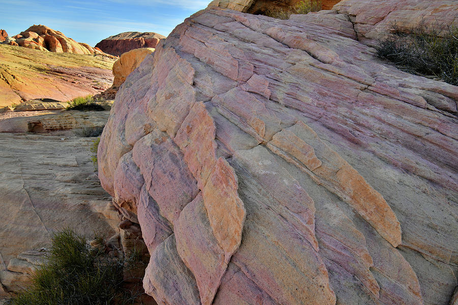 Pastel Colored Sandstone in Valley of Fire #1 Photograph by Ray Mathis