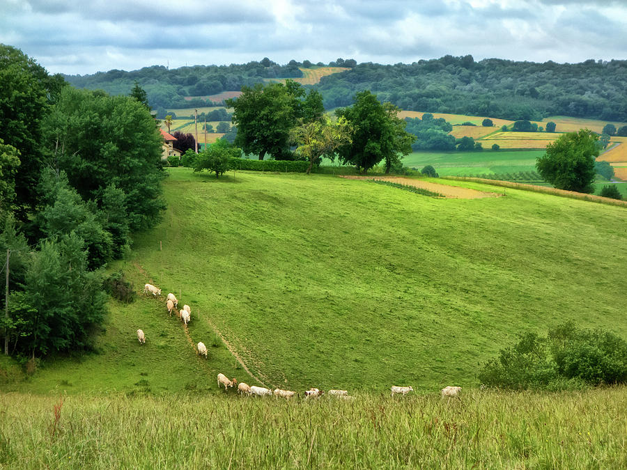 Pastoral Countryside V Photograph By Colby Chester Fine Art America