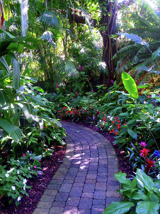 Pathway A Photograph By Pepsi Freund - Fine Art America