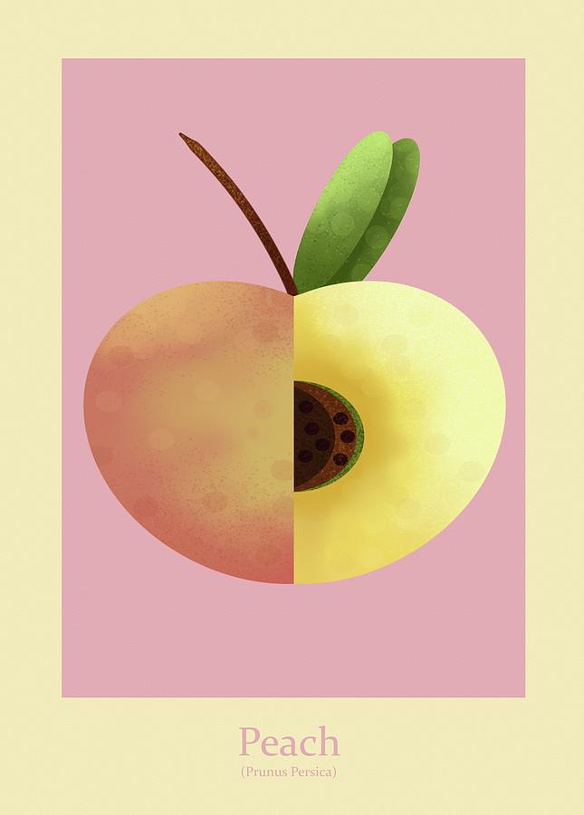 Still Life Painting - Peach #1 by Joe Gilronan