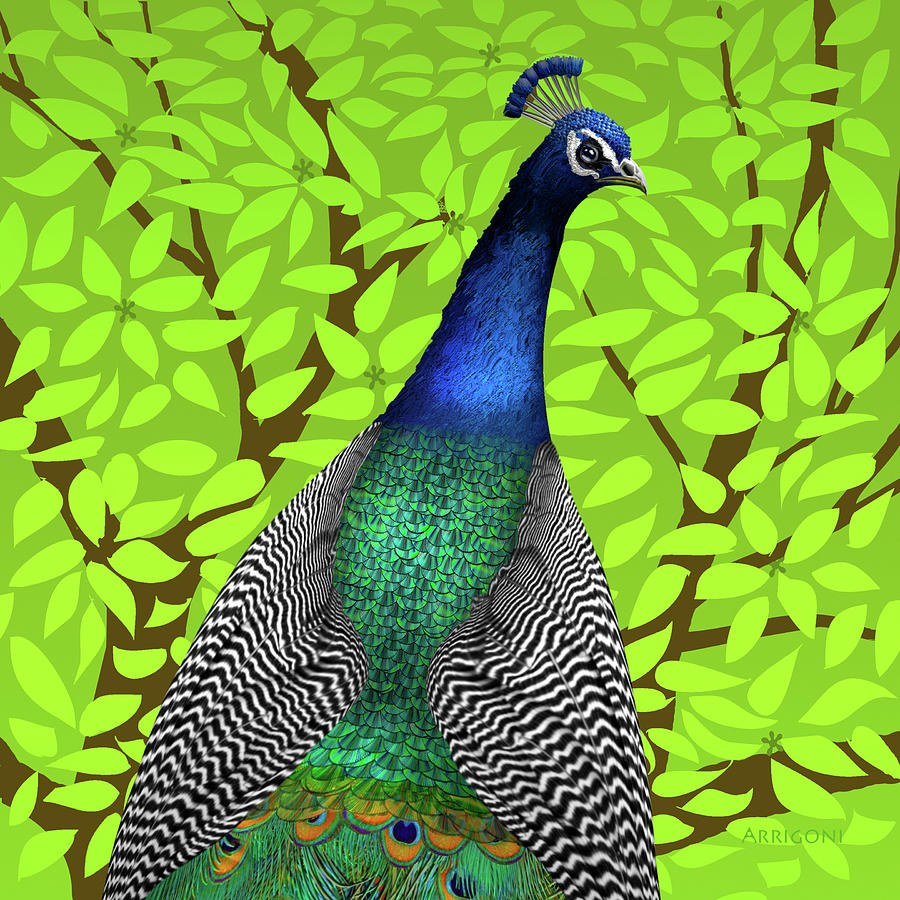 Peacock in Tree, Lime Green, Square Painting by David Arrigoni