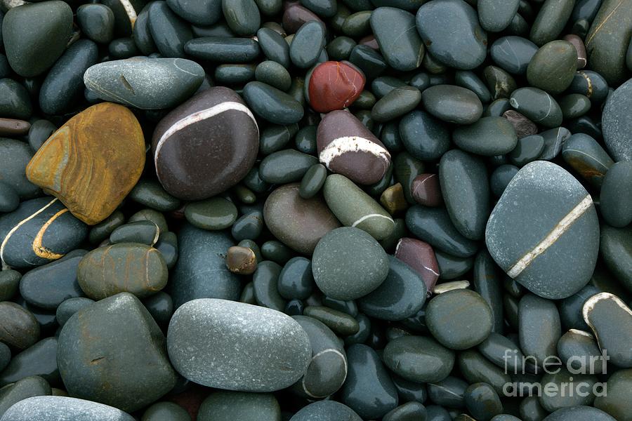 Pebbles On A Beach #1 Photograph by Dr Keith Wheeler/science Photo Library
