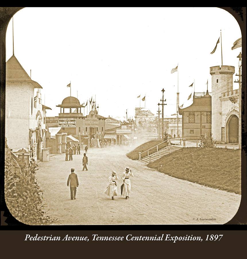 Pedestrian Avenue, Tennessee Centennial Exposition, 1897 #1 Photograph by A Macarthur Gurmankin