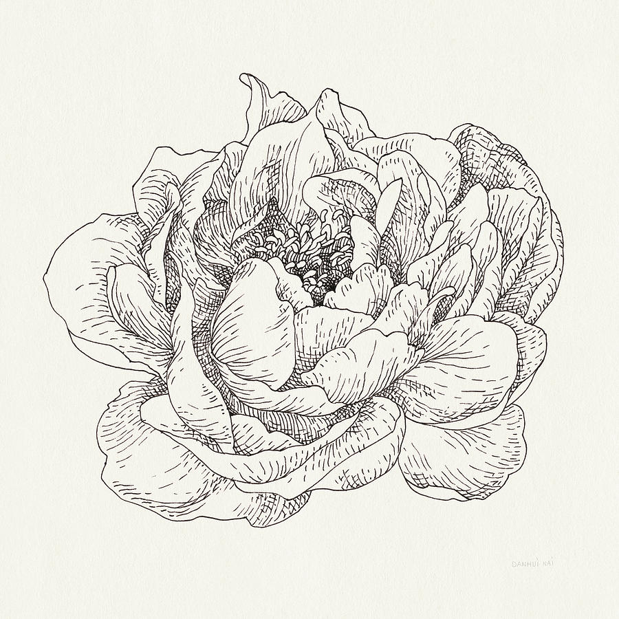 Black And White Painting - Pen And Ink Florals V #1 by Danhui Nai