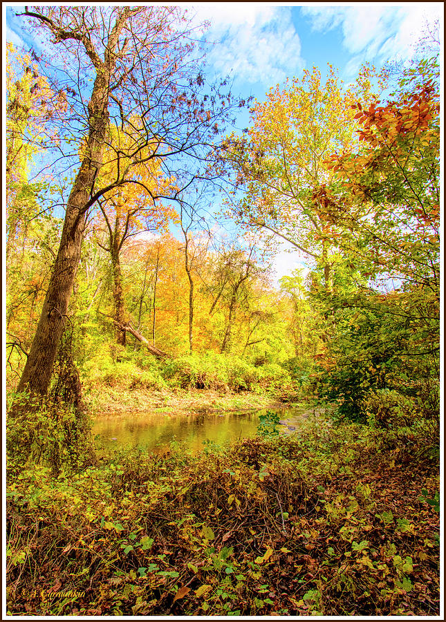 Pennsylvania Stream in Autumn #1 Photograph by A Macarthur Gurmankin