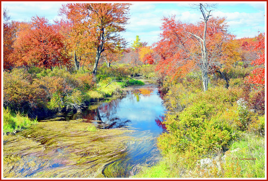 Pennsylvania Stream in Autumn, Pocono Mountains #1 Photograph by A Macarthur Gurmankin