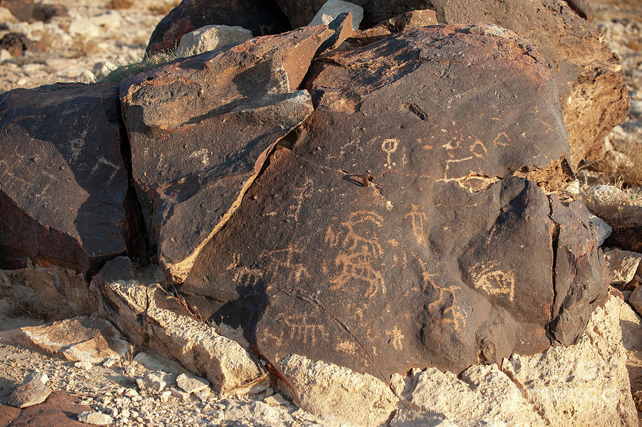Petroglyphs #1 Photograph by Marco Ansaloni / Science Photo Library