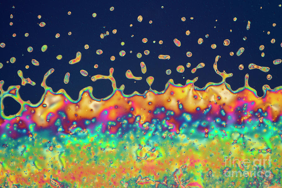 Phase Transition In Liquid Crystal #1 Photograph by Karl Gaff / Science Photo Library