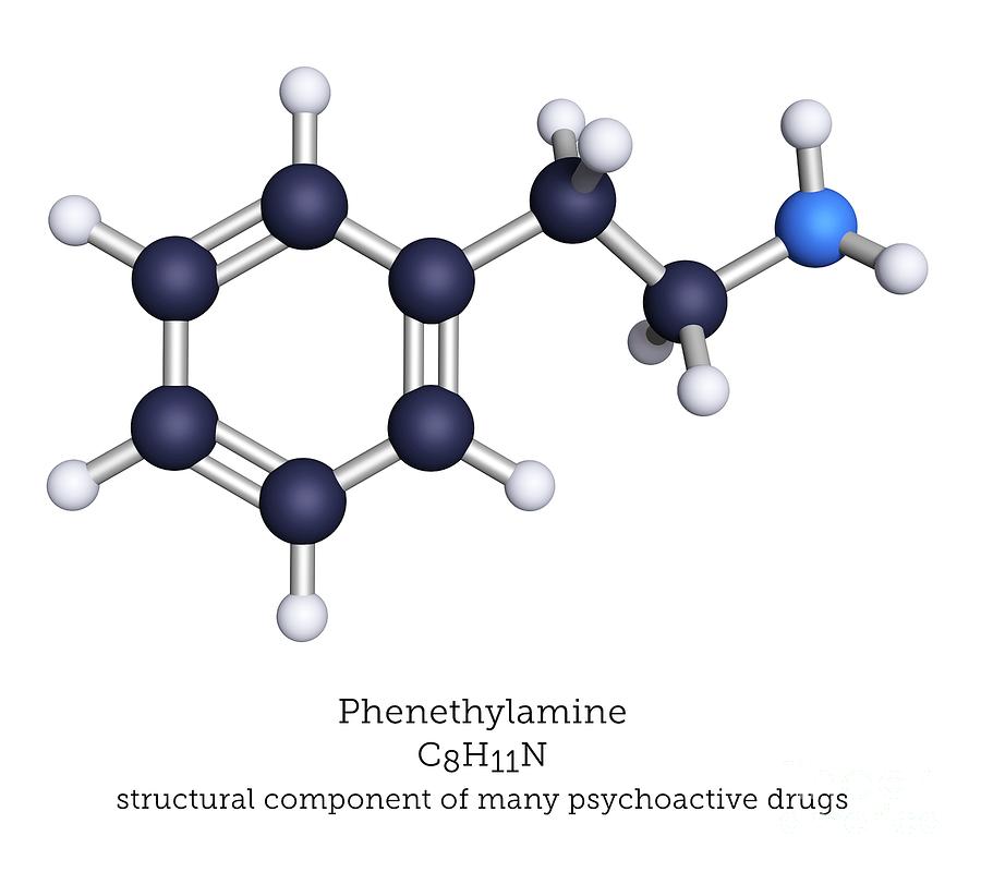 Phenethylamine Drugs