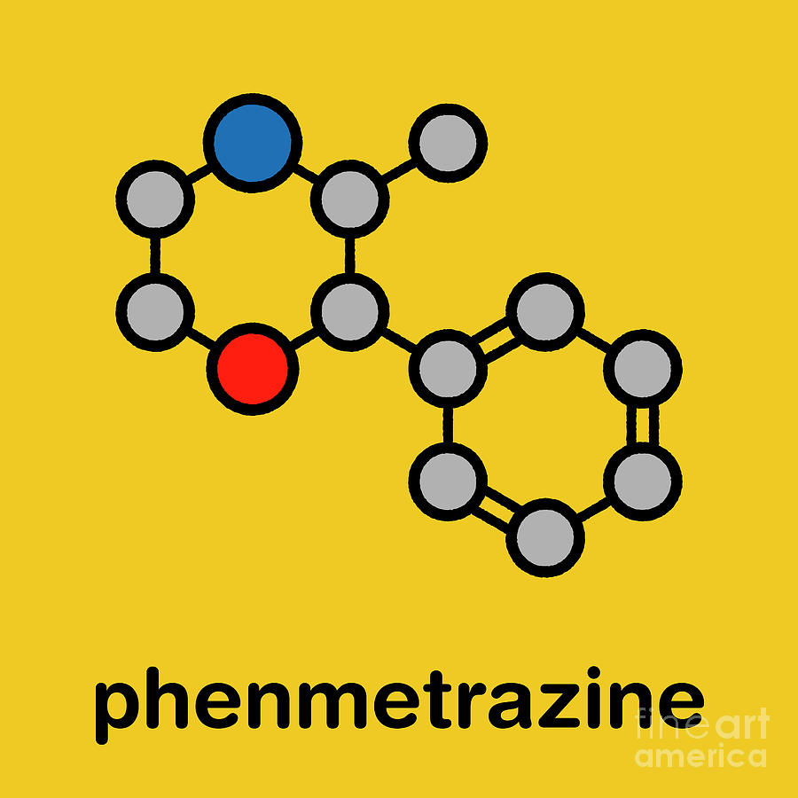 Phenmetrazine Stimulant Drug Molecule #1 Photograph by Molekuul/science Photo Library
