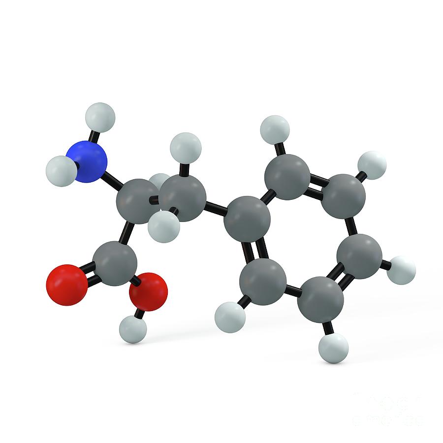 Phenylalanine Molecule 1 Photograph By Adam Brackenbury Science Photo Library Fine Art America