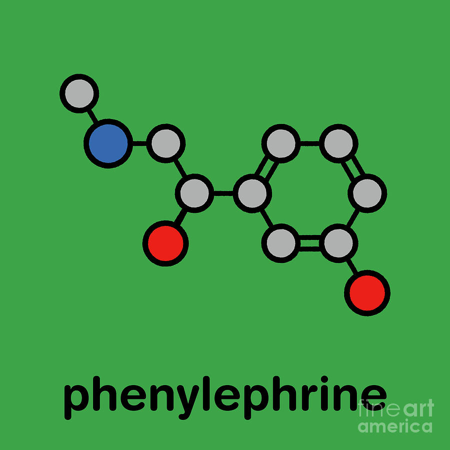 Phenylephrine Nasal Decongestant Drug Molecule #1 by Molekuul/science ...