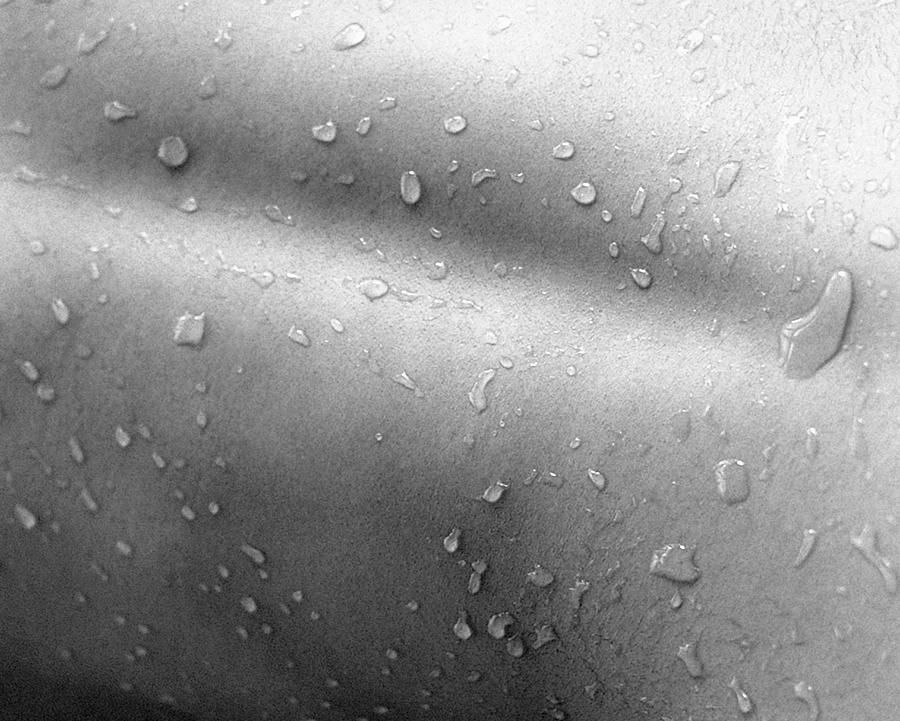 Photography Of A Naked Womans Wet Back #1 Photograph by Daj