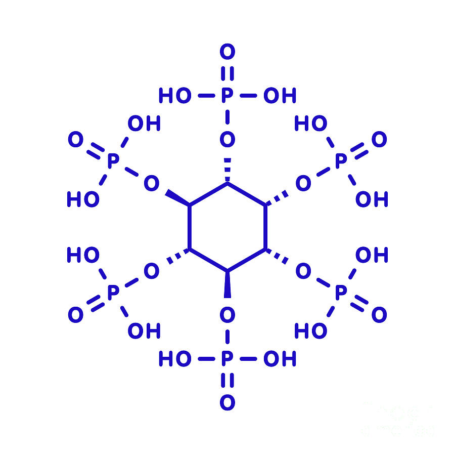 Phytic Acid Chemical Structure #1 By Molekuul/science Photo Library