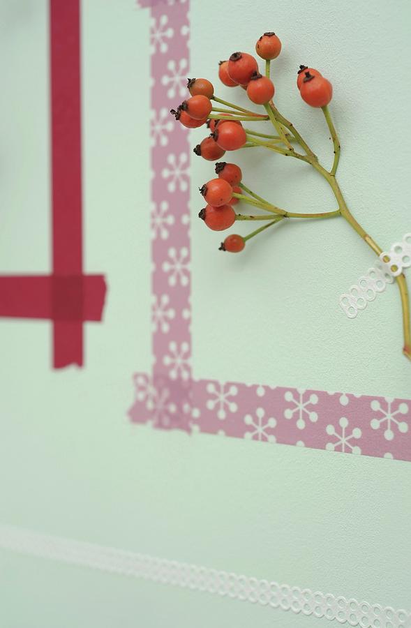 Picture Frame Made From Washi Tape Around Sprig Of Rose Hips On Wall #1 Photograph by Studio27neun
