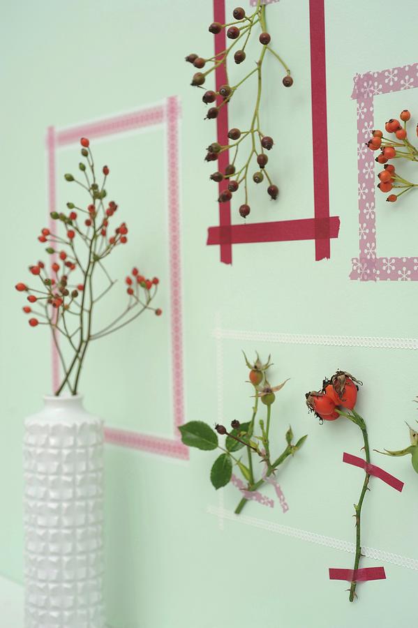 Picture Frames Made From Washi Tape Around Sprigs Of Rose Hips On Wall #1 Photograph by Studio27neun