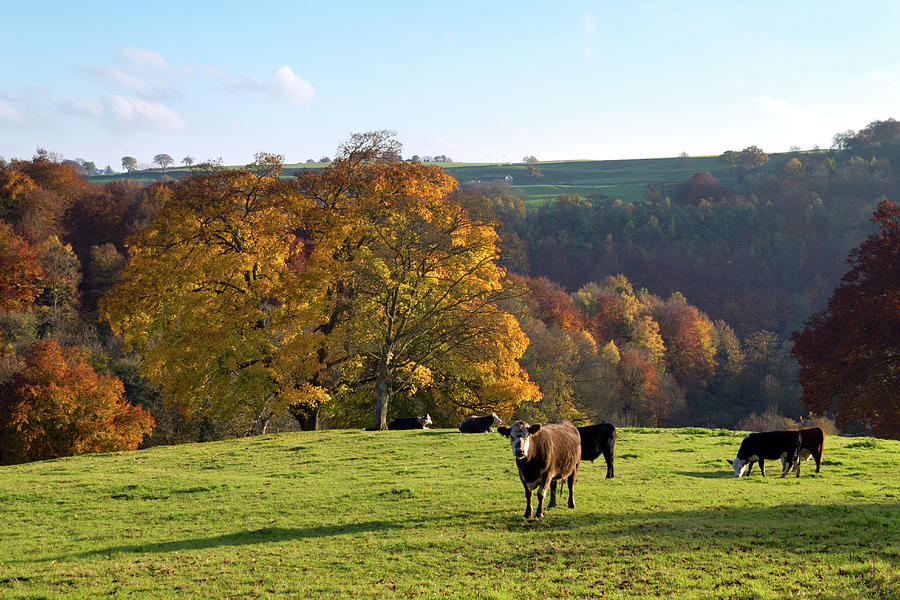 Picturesque Cotswolds - Autumn #1 Photograph by Seeables Visual Arts