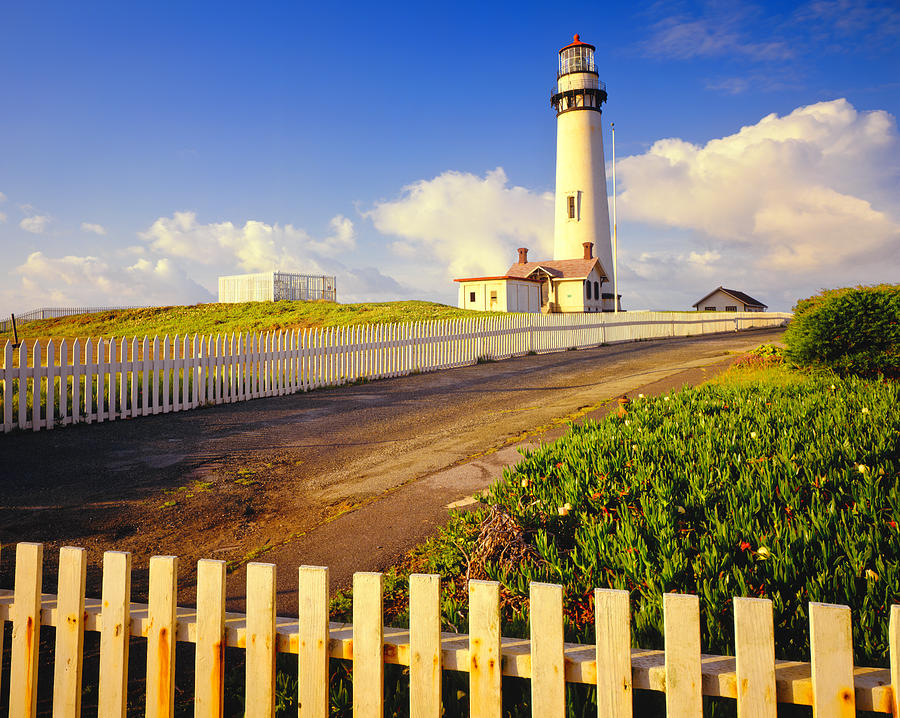 Pigeon Point Lighthouse On California #1 Photograph by Ron thomas