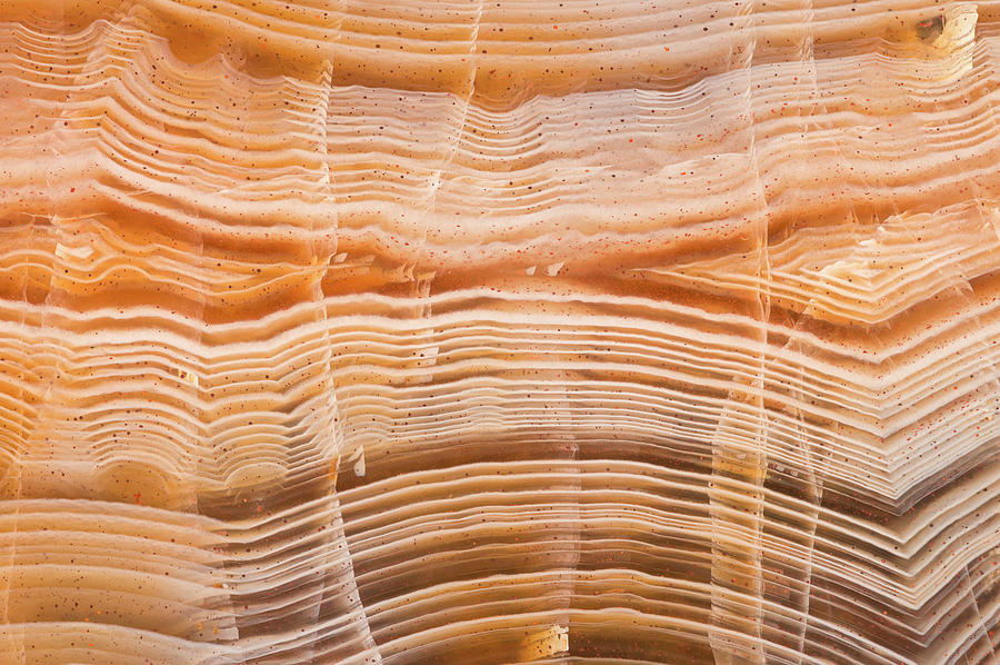 Pilbara Agate, Close #1 Photograph by Mark Windom
