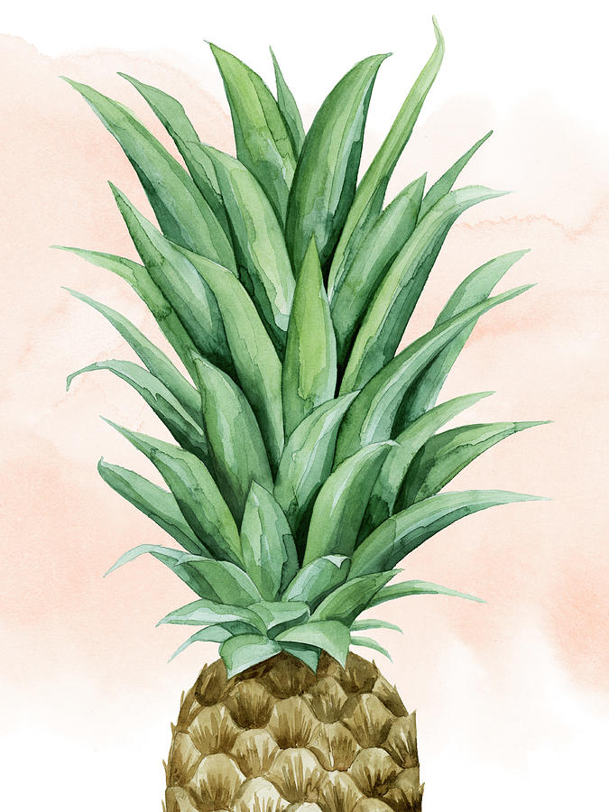 Fruit Painting - Pineapple On Coral II #1 by Grace Popp