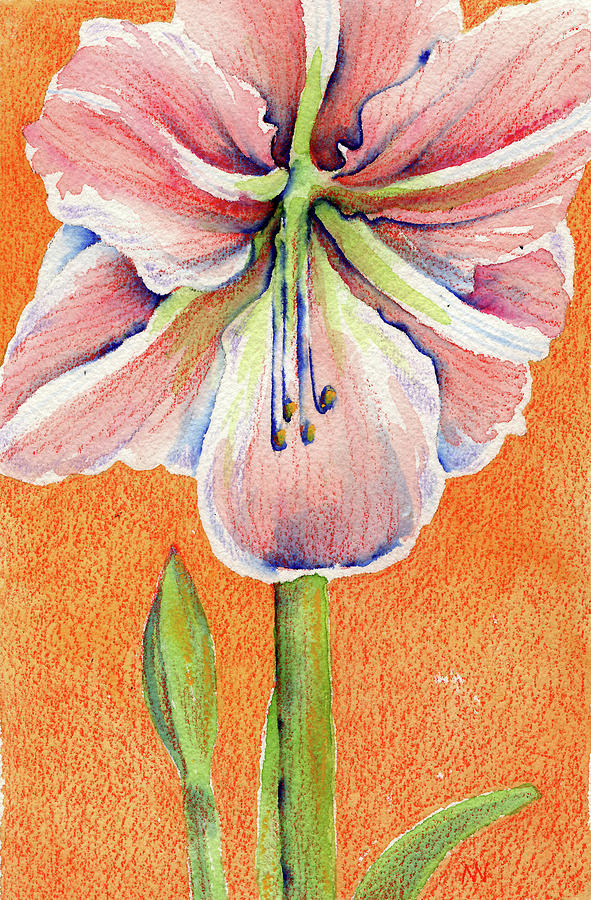 Pink Amaryllis Painting by AnneMarie Welsh