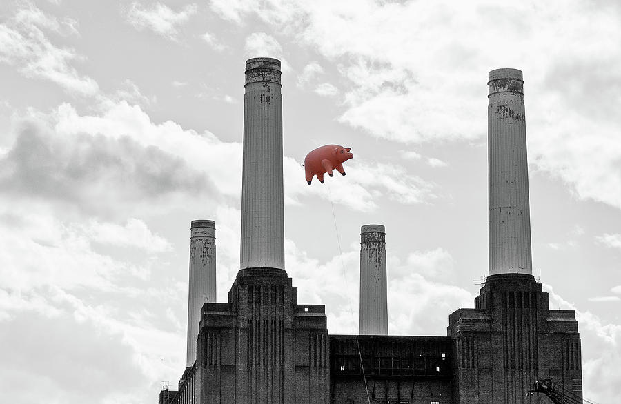 Pink Floyd Photograph - Pink Floyd Pig at Battersea Power Station #2 by Dawn OConnor