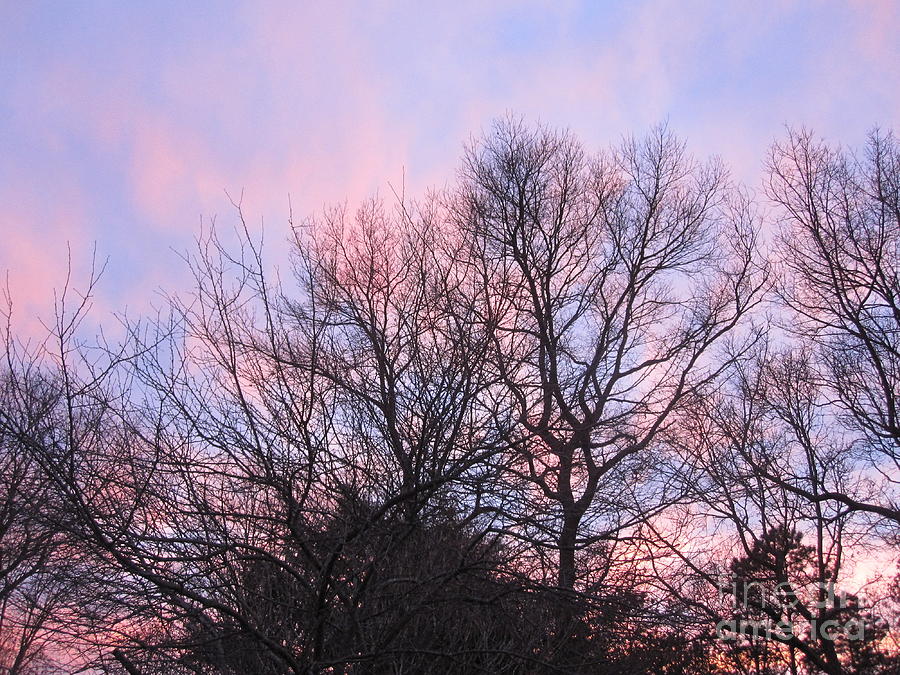 Pink Glowing Evening Sky 5 Photograph by Deborah A Andreas