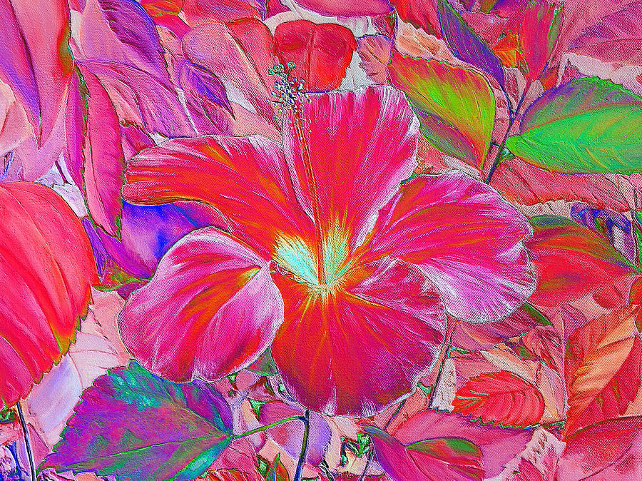 Pink Hibiscus by Elizabeth Lock Pink Hibiscus by Elizabeth Lock