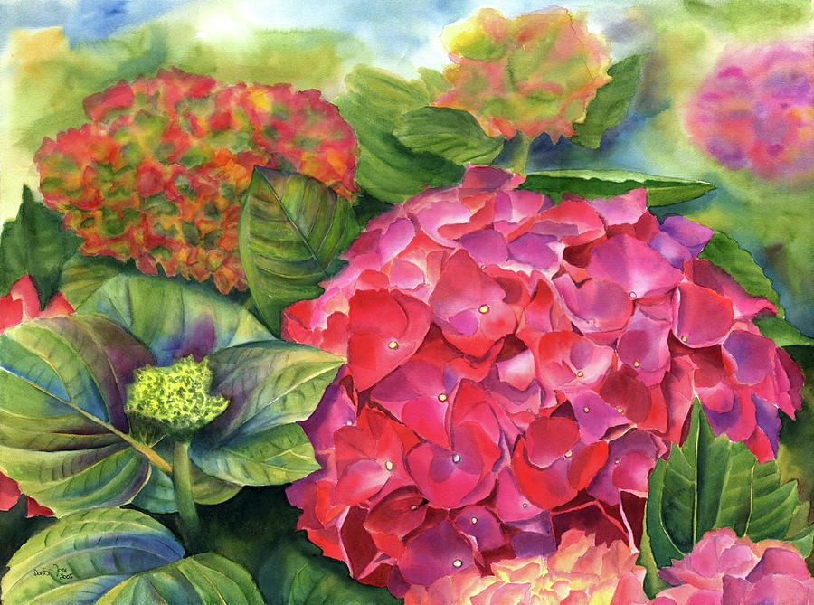 Summer Painting - Pink Hydrangea #1 by Doris Joa